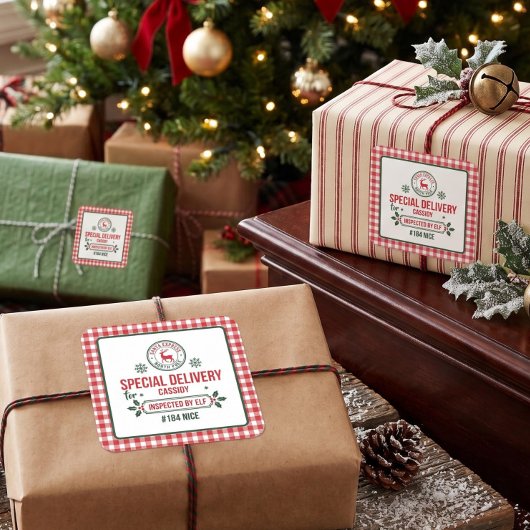 Kerstman Express Rendier expresbezorging geruit Vierkante Sticker