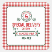 Kerstman Express Rendier expresbezorging geruit Vierkante Sticker (Voorkant)