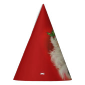  kerstman feesthoedjes (Links)