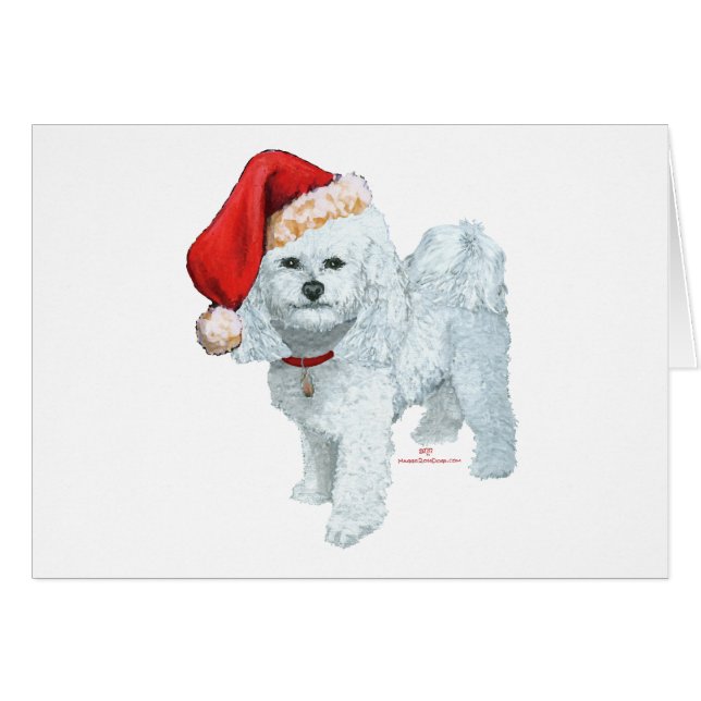 Kerstman Helper (Voorkant Horizontaal)