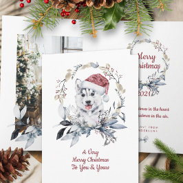 Kerstman Hoed Husky Op Maat Gemaakte Kerst Foto Feestdagen Kaart