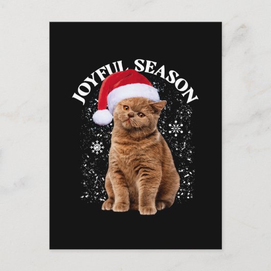 Kerstman Hoed Katten Kerstmis Briefkaart (Voorkant)
