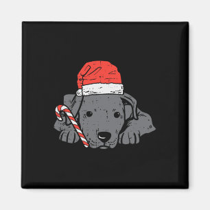 Kerstman hoed pitbull pitbull pitdog kerst kerst v magneet