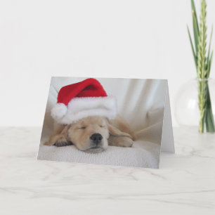Kerstman Hoed Pup Feestdagen Kaart