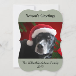 Kerstman hond-Lab/Rottweiler met de Achtergrond Feestdagenkaart