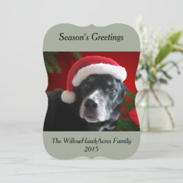 Kerstman hond-Lab/Rottweiler met de Achtergrond Feestdagenkaart