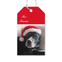Kerstman Hond-Labrador/Rottweiler Mix