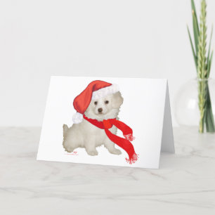 Kerstman Hulphondje Poodle / Bichon Mix Feestdagen Kaart