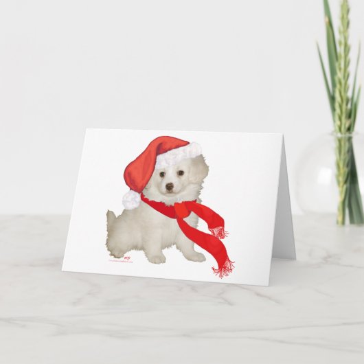 Kerstman Hulphondje Poodle / Bichon Mix Feestdagen Kaart (Voorkant)