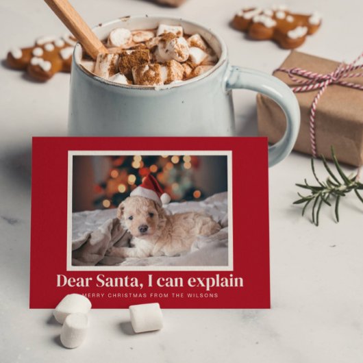 Kerstman, ik kan grappige huisdier kerstfoto uitle feestdagenkaart