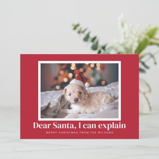 Kerstman, ik kan grappige huisdier kerstfoto uitle feestdagenkaart (Staand voorkant)