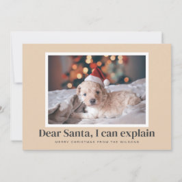 Kerstman, ik kan grappige huisdierenfoto uitleggen feestdagenkaart