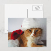 Kerstman in het Santa Hat Briefkaart (Voorkant / Achterkant)