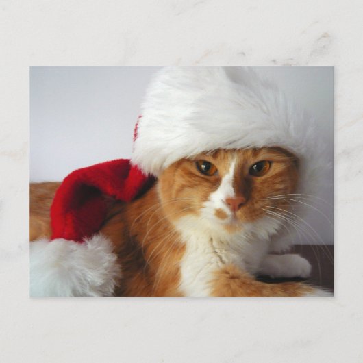 Kerstman in het Santa Hat Briefkaart (Voorkant)