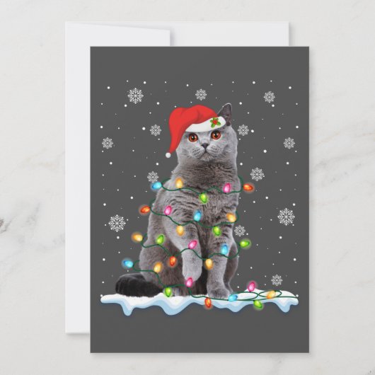 Kerstman Kat British Shorthair Kattenliefhebber Feestdagenkaart (Voorkant)