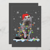 Kerstman Kat Britse Korthaar Kattenliefhebber Feestdagenkaart (Voorkant / Achterkant)