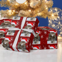 Kerstman Kat Humbug Foto Rode Sneeuwvlok