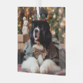 Kerstman Landseer Newf-ornament Glas Ornament (Voorkant links)