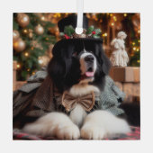 Kerstman Landseer Newf-ornament Glas Ornament (Achterkant)