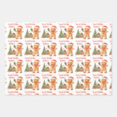 Kerstman met kerstman inpakpapier vel (Voorkant)