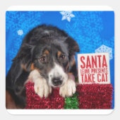Kerstman nemen kat vierkante sticker (Voorkant)
