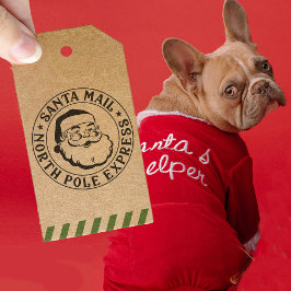 Kerstman Noordpool Levering Kerstmis Zelfinktende Stempel