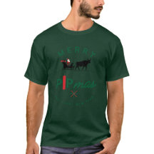 Kerstman op een stieren slee – Forex Pipmas cadeau