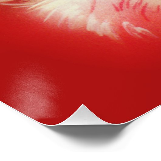  kerstman perfect poster (Hoek)