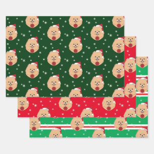 Kerstman Pomeranian Dog Snowflake Inpakpapier Vel