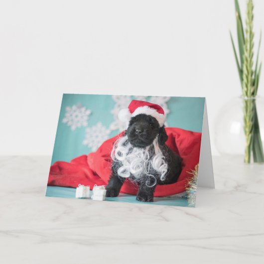Kerstman Puppy Feestdagen Kaart (Voorkant)