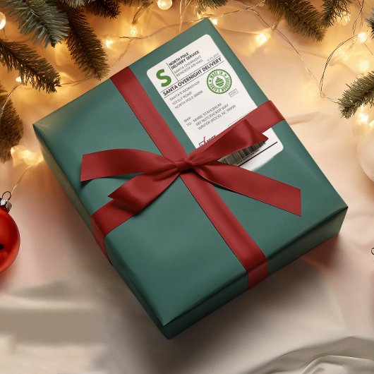 Kerstman Realistisch Verzendlabel