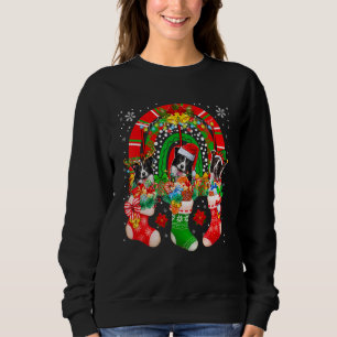 Kerstman Rendier Elf Border Collie Honden In Kerst Trui