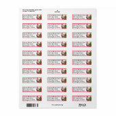 Kerstman Sinterklaas Custom Return Adres Label (Full Sheet)