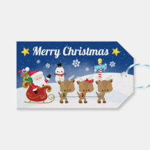 Kerstman slee en rendier nachthemel Kerstcadeau