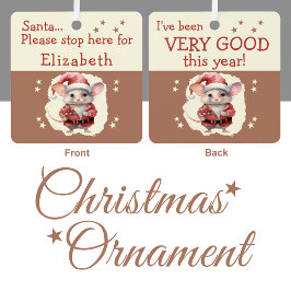 Kerstman stop hier naam schattige muis bruin metalen ornament