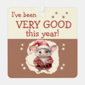 Kerstman stop hier naam schattige muis bruin metalen ornament (Achterkant)