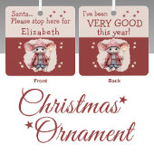 Kerstman stop hier naam schattige muis roze metalen ornament