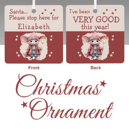 Kerstman stop hier naam schattige muis roze metalen ornament