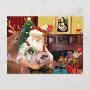 Kerstman thuis - Pekingees (R) - Kerstman Feestdagenkaart