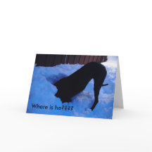 Kerstman - Waar is hij???