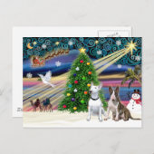 Kerstmanische bull Terriers (twee) Feestdagenkaart (Voorkant / Achterkant)