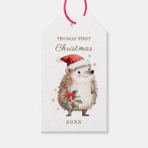 Kerstmannetje met egel Baby 1e Kerstmis
