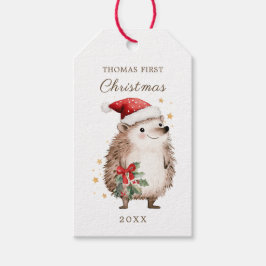 Kerstmannetje met egel Baby 1e Kerstmis Cadeaulabel