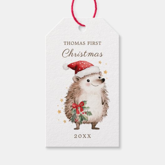 Kerstmannetje met egel Baby 1e Kerstmis Cadeaulabel (Voorkant)