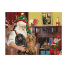 Kerstmanns twee langharige Dachshunds