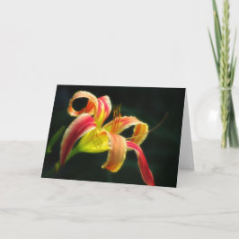 Kerstman's broek Daylily Feestdagen Kaart