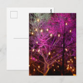 Kerstmarkt in Keulen Briefkaart (Voorkant / Achterkant)