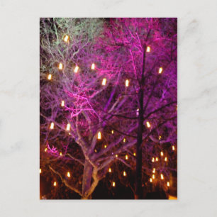 Kerstmarkt in Keulen Briefkaart