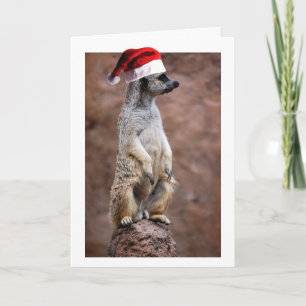 KerstMeerKat Feestdagen Kaart
