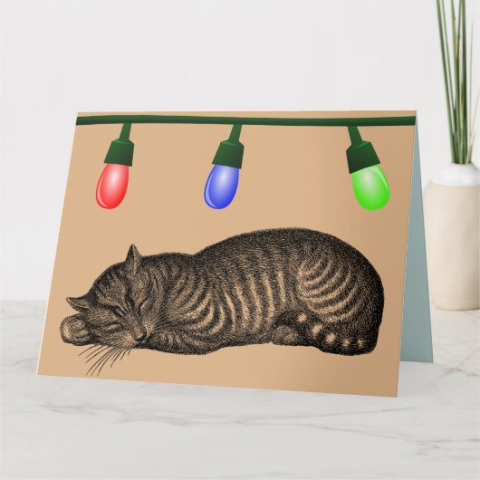 KERSTMIJNKAART VOOR KATTEN KAART (Voorkant)